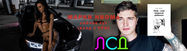 скорость Каменногорск