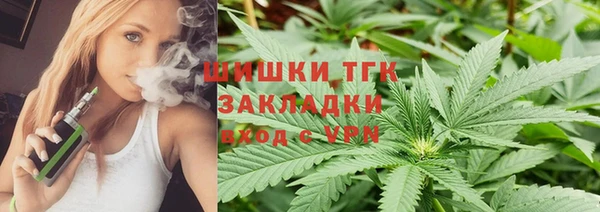 2c-b Каменка